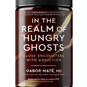 Addiction Recovery Workbook North Atlantic eBook-0